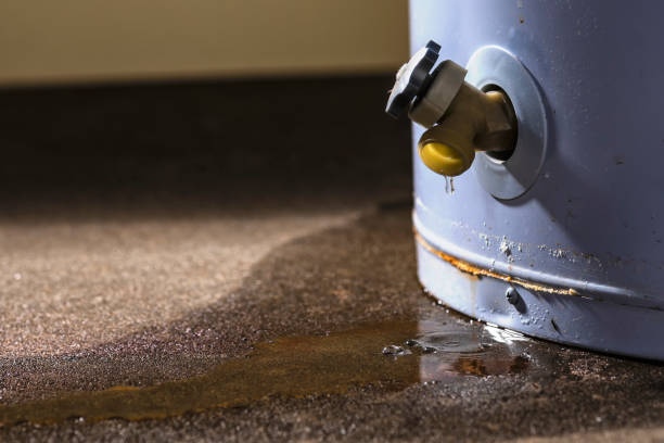 Best Ceiling water damage repair  in Avis, PA