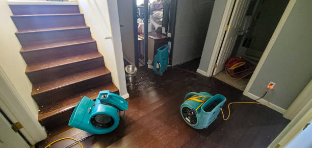 Local water damage restoration in Avis, PA
