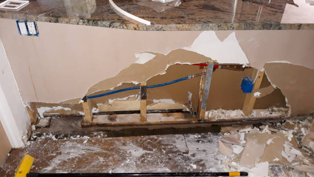 Best Fire Damage Restoration  in Avis, PA