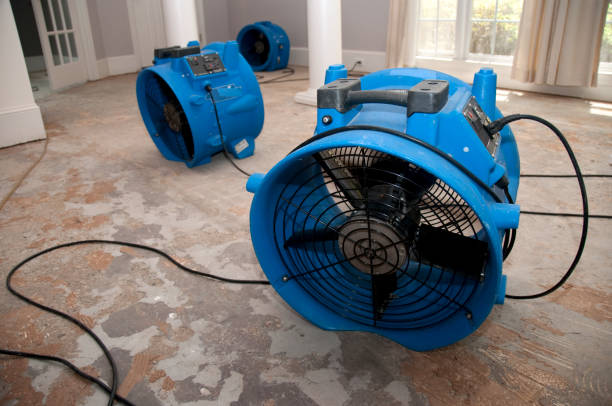 Best Ceiling water damage repair  in Avis, PA