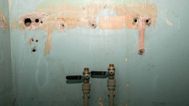 Best Water damage cleanup near me  in Avis, PA