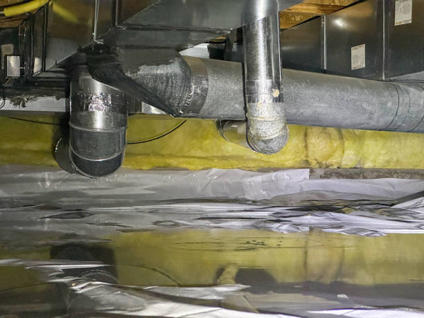 Best 24/7 water damage repair  in Avis, PA