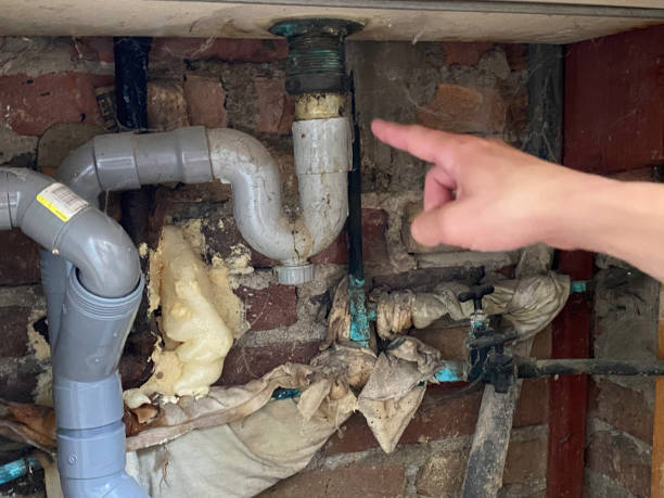 Best Flooded house restoration  in Avis, PA